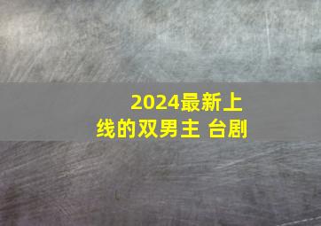 2024最新上线的双男主 台剧